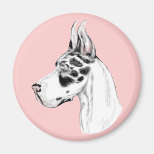 Great Dane Harlequin Feminine Magnet