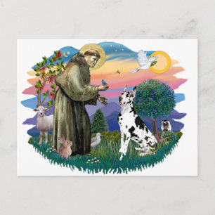 Great Dane (Harlequin) Postcard