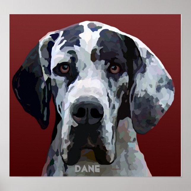 Great Dane Harly Face Poster (Front)