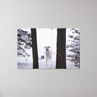 Great Dane having a ball this Holiday Season Canvas Print