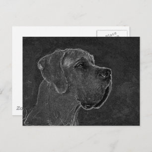 Great Dane Head Charcoal Drawing Postcard