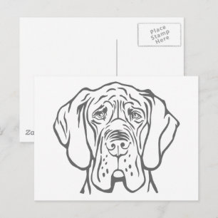 Great Dane Head drawing Postcard