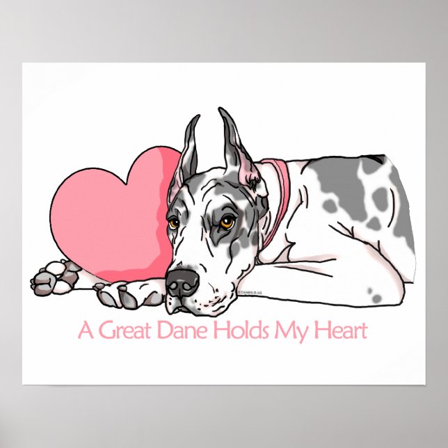 Great Dane Holds Heart Harlequin Poster (Front)