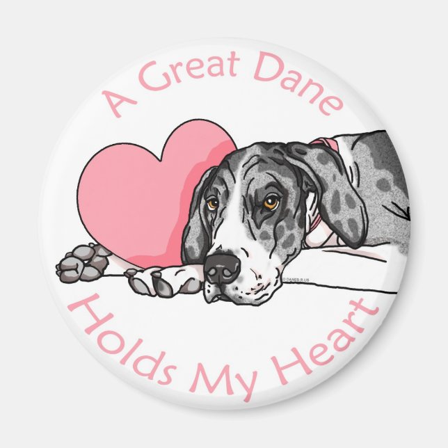 Great Dane Holds Heart MerleB UC Magnet (Front)