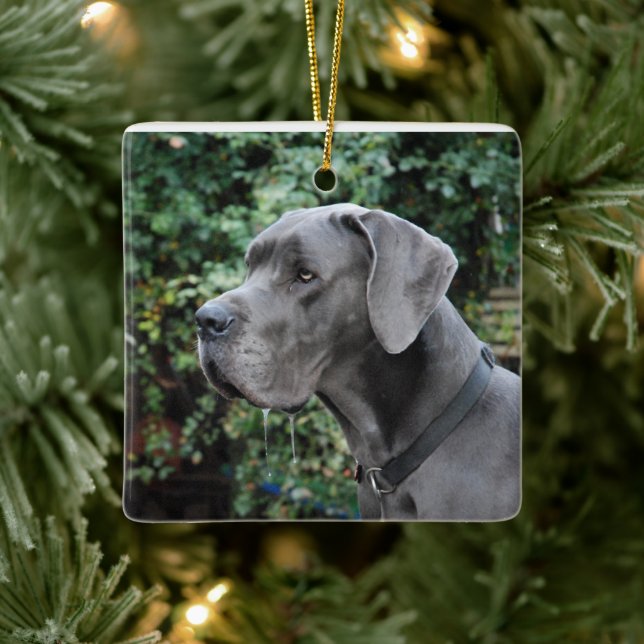 Great Dane Images Ceramic Ornament (Tree)