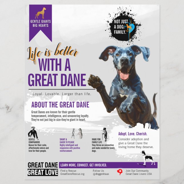 Great Dane information Flyer  (Front)
