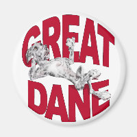 Great Dane Laid Back Merle UC