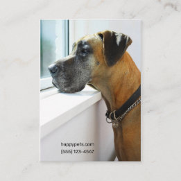 Great Dane Looking Out Window Dog Walker "Mighty"  Business Card