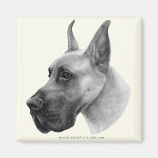 Great Dane Magnet