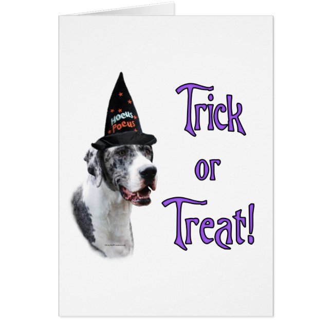 Great Dane (merle) Trick (Front)