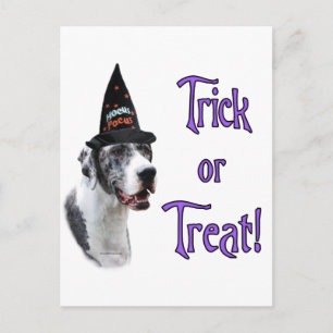 Great Dane (merle) Trick Postcard