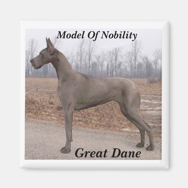 Great Dane, Model Of Nobility Magnet (Front)