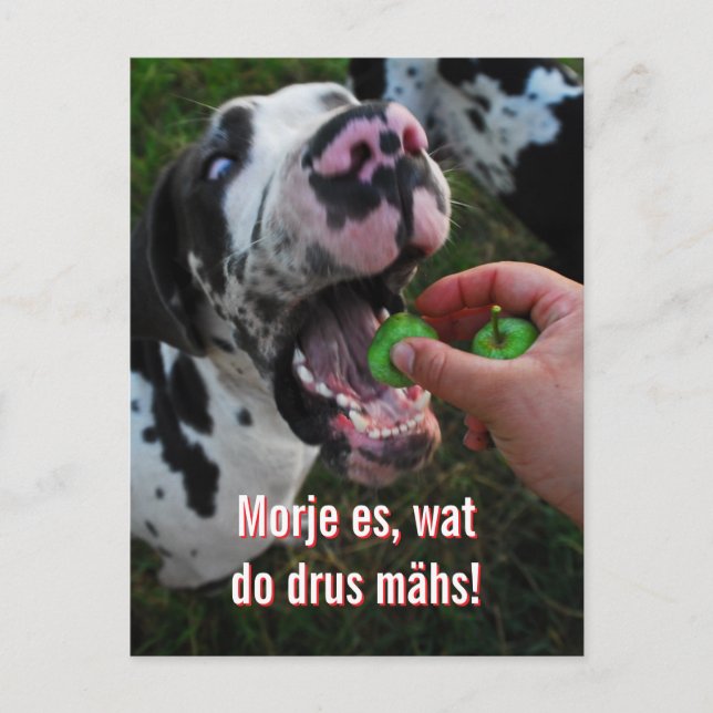 Great Dane Motto Motivation  Postcard (Front)