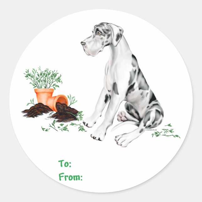 Great Dane Naughty Pup Harlequin UC Classic Round Sticker (Front)