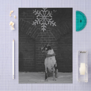 Great Dane Nestor Tissue Paper