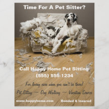 Great Dane on Chewed Sofa Pet Sitting Flyer 8x11