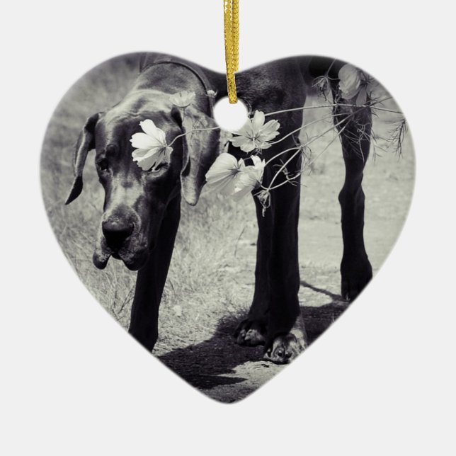 Great Dane Ornaments Photo Gift (Front)