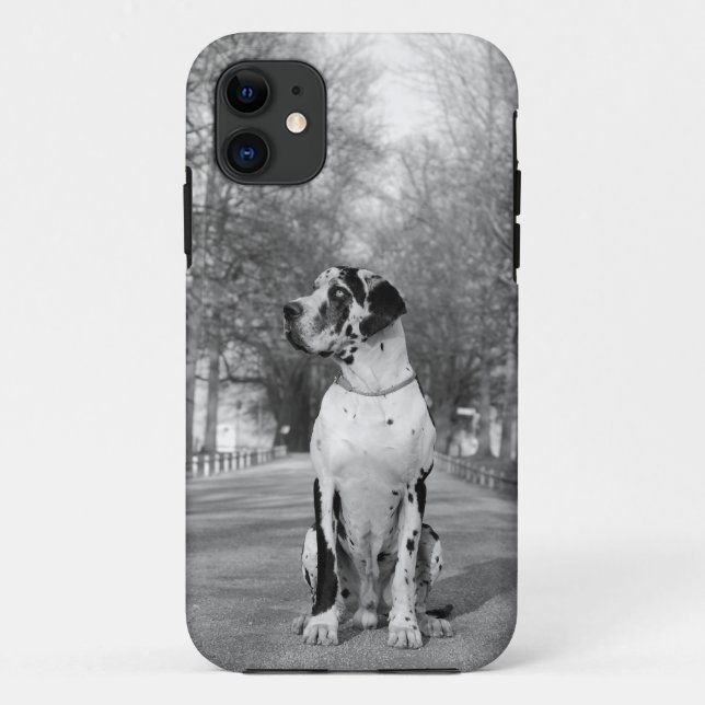 Great Dane Personal Photography Case (Back)