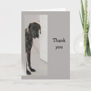 Great Dane  Pet Dog Humor Thank you Card