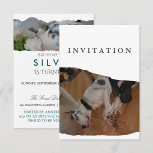 Great Dane Photo invitation