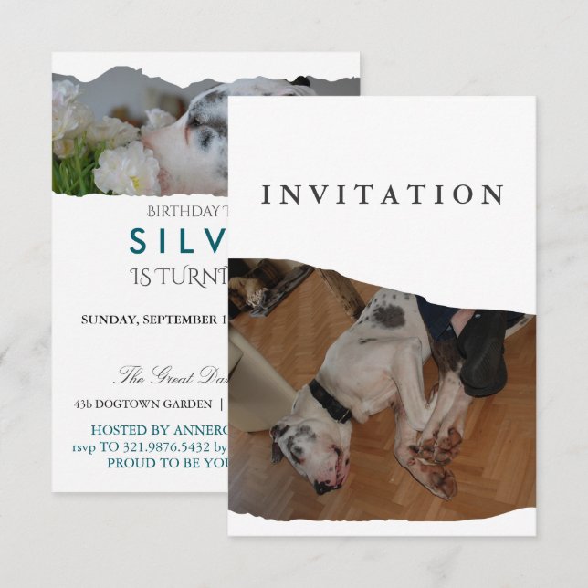 Great Dane Photo invitation  (Front/Back)