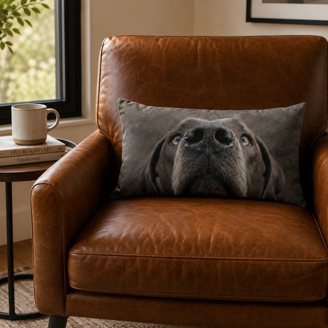 Great Dane Pillow (Creator Uploaded)