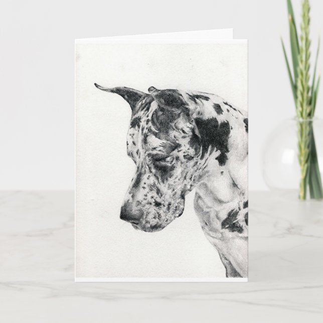 Great Dane Portrait Blank Greeting Card (Front)