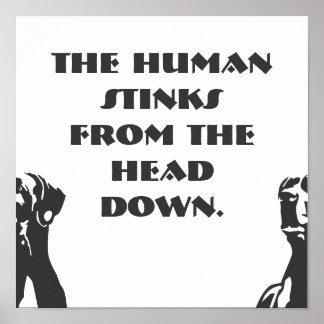 Great Dane Poster
