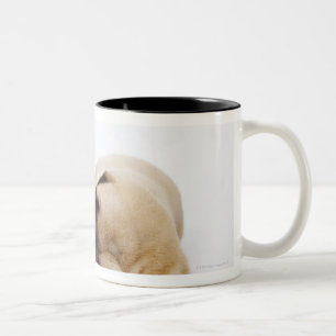 Great Dane puppies sleeping side by side in Two-Tone Coffee Mug
