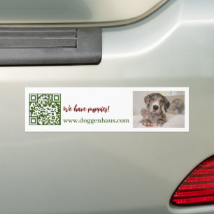 Great Dane Puppy for Sale Bumper Sticker