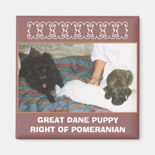 GREAT DANE PUPPY MAGNET