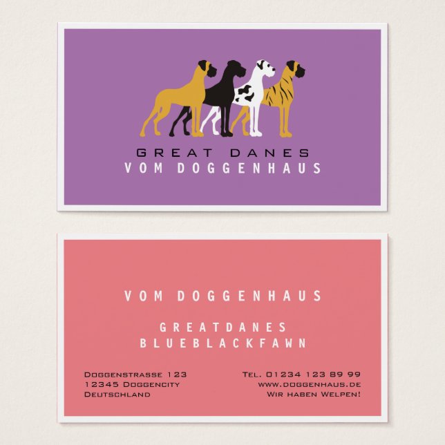 Great Dane pure (Front & Back)