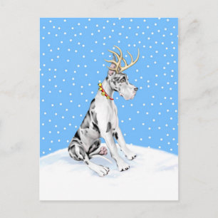 Great Dane Reindeer Christmas Harlequin Holiday Postcard