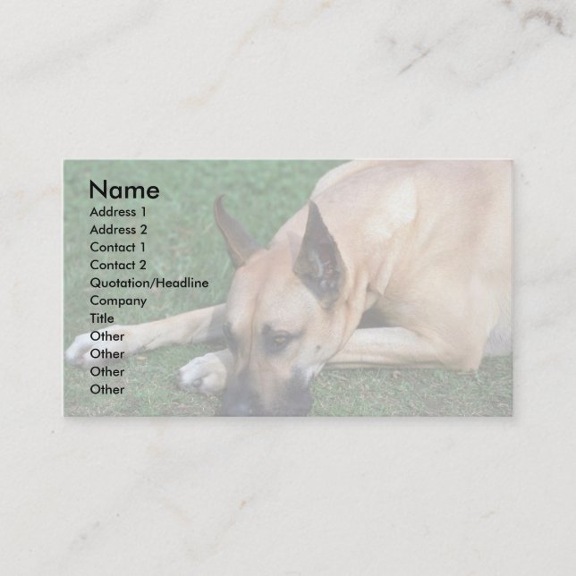 Great Dane resting Business Card (Front)