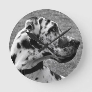 GREAT DANE ROUND CLOCK