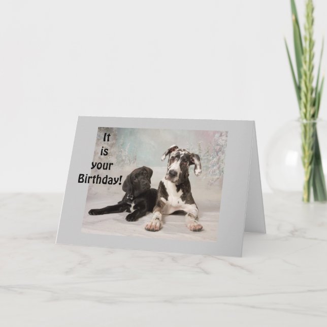 GREAT DANE SAYS "ENJOY YOUR BIRTHDAY" CARD (Front)