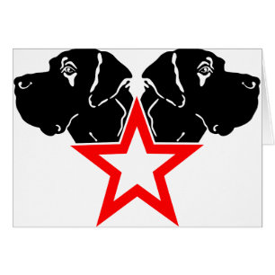 Great Dane Star Head