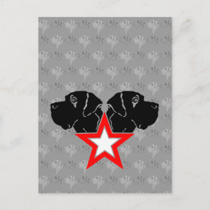 Great Dane Star Head Postcard