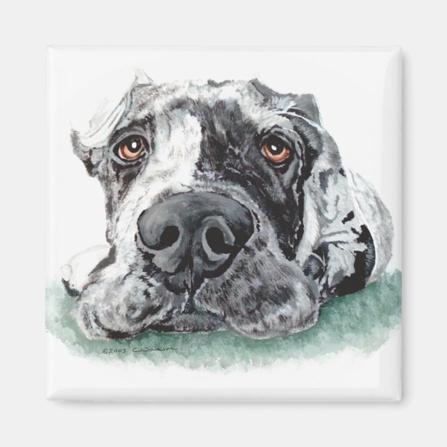 Great Dane Taped Up Merle Magnet (Front)