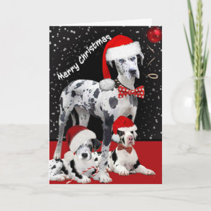 Great Dane Time For Fun Holiday Card