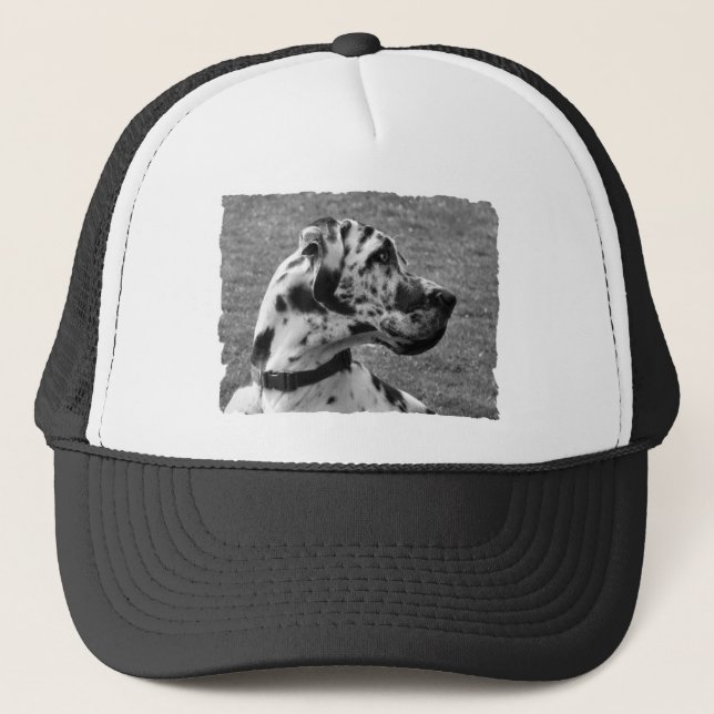 GREAT DANE TRUCKER HAT (Front)