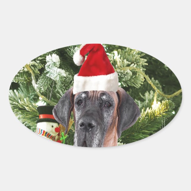 Great Dane w Christmas Tree Gift Boxes Santa Hat Oval Sticker (Front)