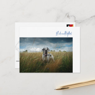 Great Dane Walk Invitation Postcard