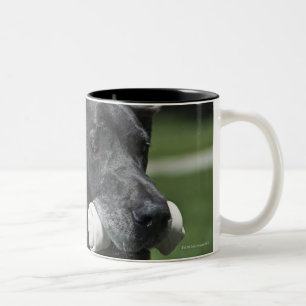 Great Dane with bone Two-Tone Coffee Mug