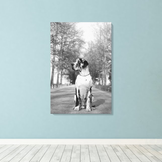 Great Dane Wrapped Canvas (Insitu(Wood Floor))