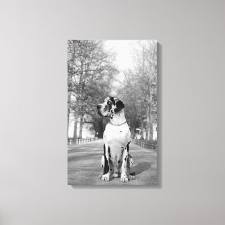 Great Dane Wrapped Canvas