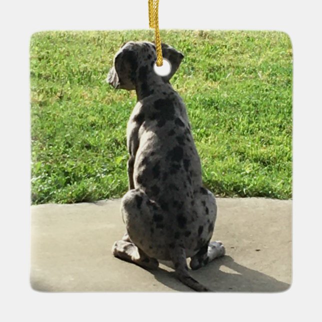 Great Dane's 1st X-Mas Ceramic Ornament (Front)