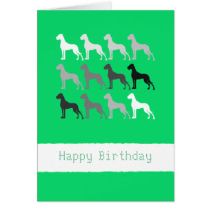 Great Danes Birthday