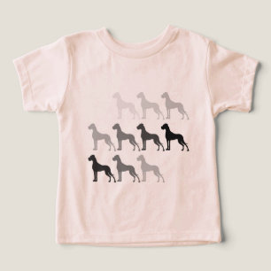 Great Danes in black, white and grey