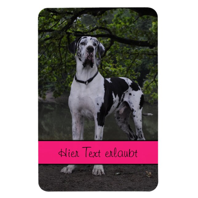 Great Danes Magnet (Vertical)